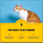 Multivitamin for Dogs & Cats | Vitamins C, K2, B, D, A, Omega, Calcium & Zinc for Growth & Development, Heart, Liver & Joint Health, Performance & Immunity (30 Oral Dissolving Strips)