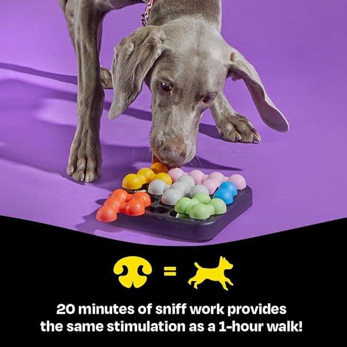 Brightkins Kanoodle Dog Edition Small, Interactive Dog Toys, Dog Puzzle Toy, Enrichment Toy for Dogs, Dog Slow Feeder