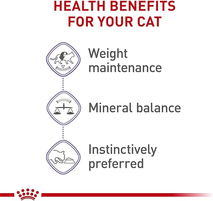 Royal Canin Feline Health Nutrition Spayed/Neutered Adult Thin Slices in Gravy Cat Food, 3 oz (Pack of 24)