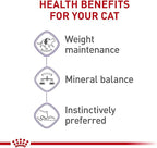 Royal Canin Feline Health Nutrition Spayed/Neutered Adult Thin Slices in Gravy Cat Food, 3 oz (Pack of 24)