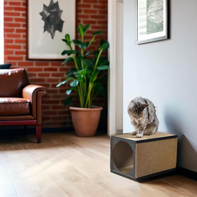 Cat Scratcher Tunnel, cardboard cat house, scratching post for Indoor cats, 360 degree comfort, durable design, odor-free, easy assembly, perfect for playful kittens and adult cats, blackwood