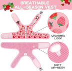 BINGPET Cat Harness with Leash Escape Proof - Fashionable Mesh Cat Dog Walking Harness Leads, Adjustable for Kitties Puppies Small Animals