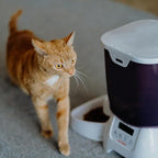 Cat Mate C3000 Automatic Dry Food 3-Meal Feeder, BPA Free for Cats & Small Dogs