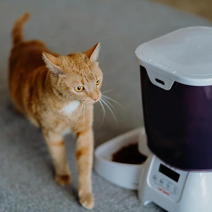 Cat Mate C3000 Automatic Dry Food 3-Meal Feeder, BPA Free for Cats & Small Dogs
