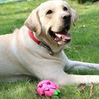 AUSCAT Dog Treat Dispensing Toys, Dispensing Puzzle Dog Toy for Aggressive Chewers, Rubber Dog Treat Dispenser, Interactive Stimulation Dog Food Toys, Pitaya Shape