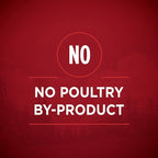 Purina ONE High Protein Wet Dog Food True Instinct Tender Cuts in Dog Food Gravy With Real Chicken and Duck - (Pack of 12) 13 oz. Cans