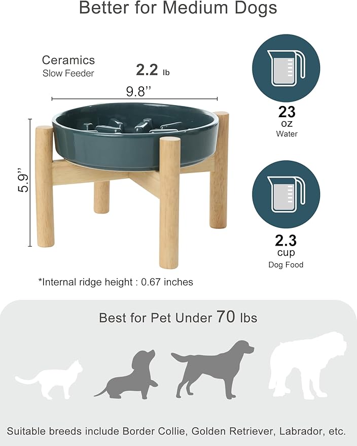 Ceramic Maze Dog Slow Feeder with Non-Slip Silicone Rim (& Bamboo Stand) – Heavy-Duty Stoneware Bowl with Puzzle Pattern for Bloating & Obesity Prevention (Raised-Blue-M)
