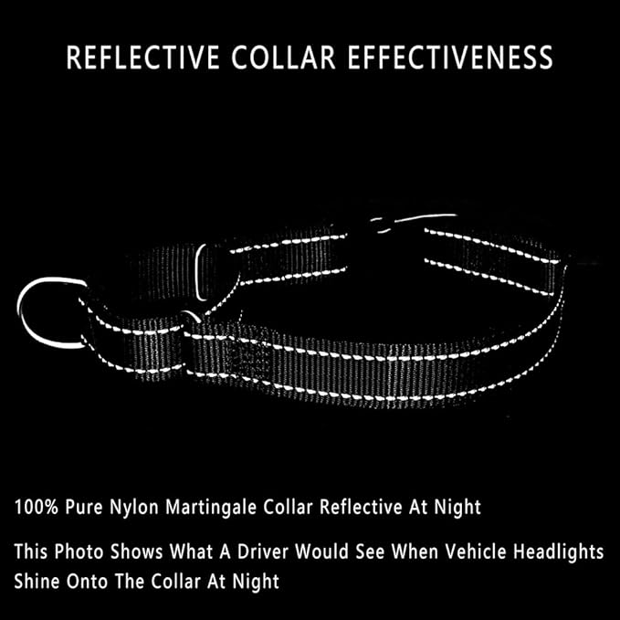 Plutus Pet Reflective Martingale Collar with Buckle - Durable and Adjustable Training Collar for No Pulling, Dog Choker Collar for Small Medium Large Dogs, Gray, S