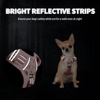 HEELE Dog Harness, No Pull Adjustable Padded Reflective Harness for Small Medium Large Dogs with Handle for Walking Training, Flower-Pink, M