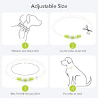 Colaseeme LED Dog Collar, Light Up Dog Collar 1 Count USB Rechargeable TPU Glow Safety Dog Necklace Light, Dog Lights for Small Medium Large Dogs, Please Do Not Use Fast Charging (Green)