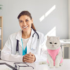 Avont Cat Recovery Suit - Kitten Onesie for Cats After Surgery, Cone of Shame Alternative Surgical Spay Suit for Female Cat, Post-Surgery or Skin Diseases Protection -Pink(L)