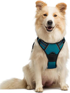 rabbitgoo Dog Harness No Pull with 2 Leash Clips, Adjustable Soft Padded, Reflective Oxford No Choke Pet Vest with Easy Control Handle for Medium Sized Dogs, Blue Coral, M