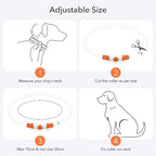 Colaseeme LED Dog Collar, Light Up Dog Collar 1 Count USB Rechargeable TPU Glow Safety Dog Necklace Light, Dog Lights for Small Medium Large Dogs, Please Do Not Use Fast Charging (Orange)