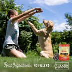 Beg & Barker Beef Liver Jerky for Dogs (10 Ounce, Pack of 1) - Dog Training Treats - Natural Dog Treats Made in The USA - Grain Free, Diabetic-Friendly, High Protein, Sugar-Free
