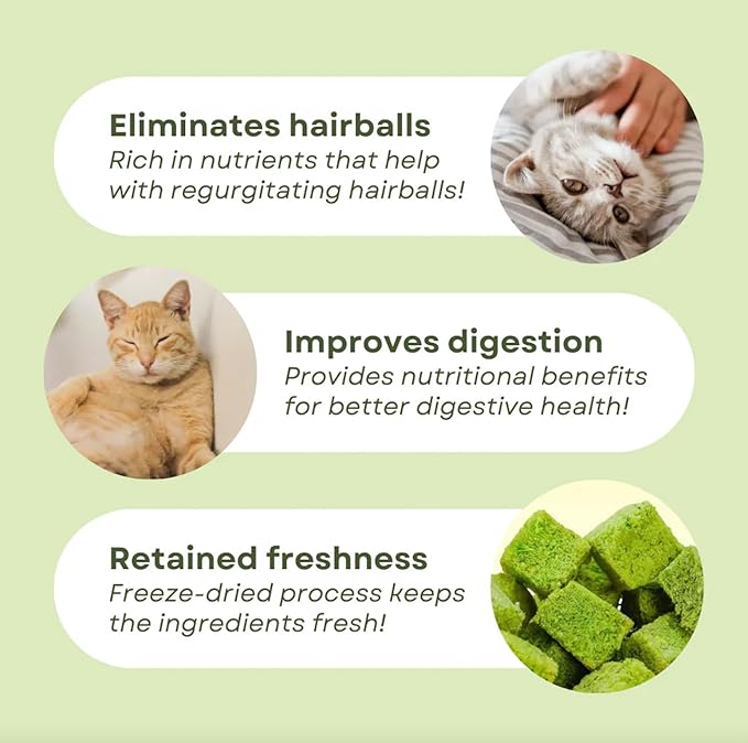 3.8oz Cat Grass Sticks for Hairball Remedy and Teeth Cleaning, Chicken Flavored Hairball Treats for Cats, Natural Freeze Dried for Indoor Cats