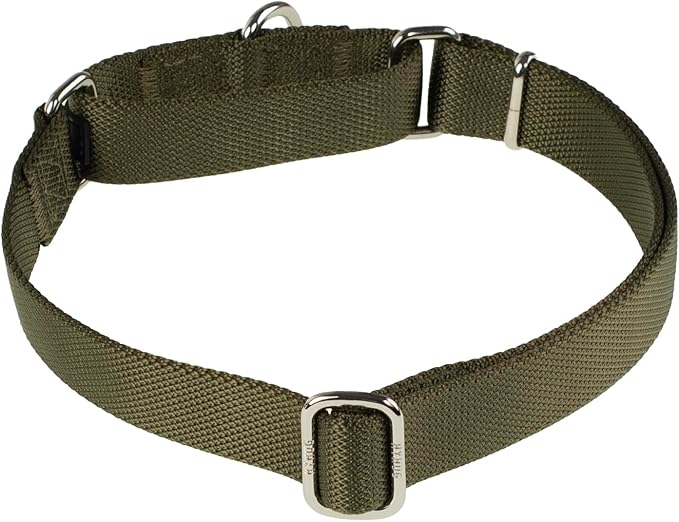 Hyhug Martingale Collar for Dogs Large Green |Escape - Proof Heavy Duty Nylon Durable No Pull, Ideal for Training & Daily Walks