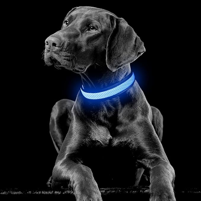 YFbrite Light up Dog Collar, USB Rechargeable LED Puppy Collar Super Bright Adjustable Glowing Dog Lights for Night Walking (Blue, Large)