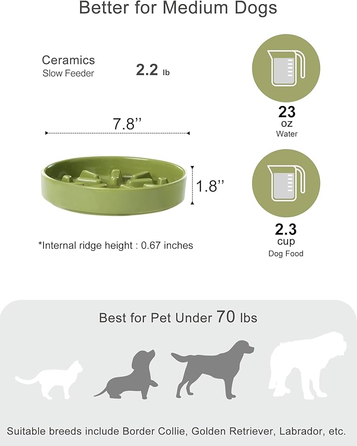 Ceramic Maze Dog Slow Feeder with Non-Slip Silicone Rim – Heavy-Duty Stoneware Bowl with Puzzle Pattern for Bloating & Obesity Prevention (Green-M)