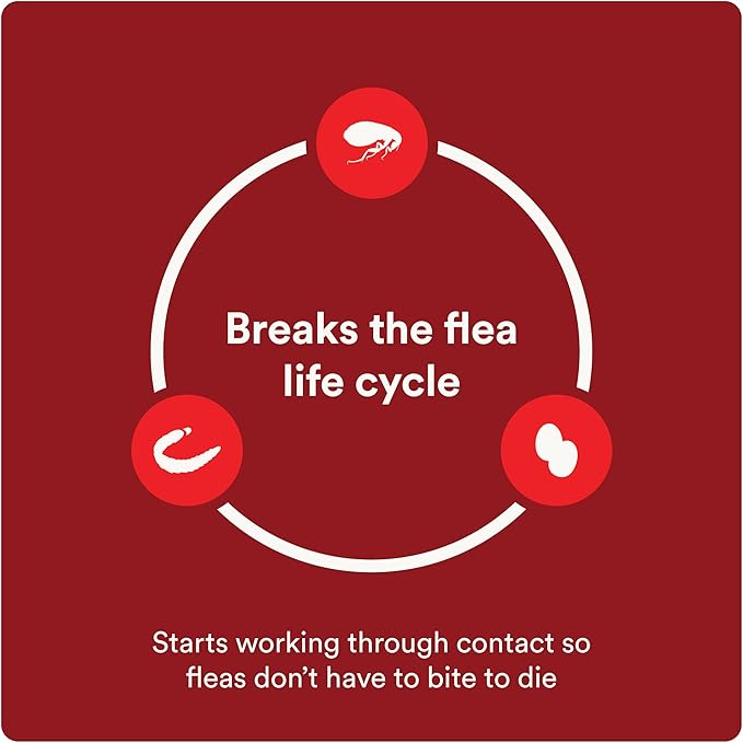 Advecta Ultra Flea and Tick Prevention for Dogs - Small Dog Flea and Tick Treatment & Control - Mosquito Repellent - Fast Acting Waterproof Topical Drops, 6 Month Supply