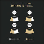 Purina Pro Plan Indoor Cat Food LiveClear Cat Allergen Reducing Turkey and Rice Formula - 12.5 lb. Bag