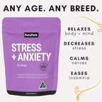 Stress and Anxiety Supplement for Dogs - Calming Dog Powder Supplement - Decreases Stress, Calms Fear & Anxiety, Eases Aggression & Insomnia, Relaxes Body and Mind - Beef Flavour - 3.2oz - 45 Scoops