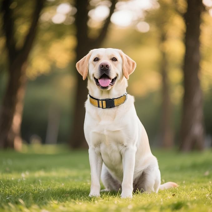 Reflective Dog Collar, Soft Neoprene Padded Nylon Pet Collar with Quick-Release Buckle, Adjustable for Extra Large Dogs,Khaki,XL