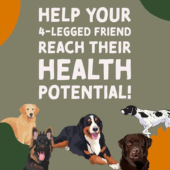 DogBone Fish Oil for Dogs 32 oz | Salmon Oil | Dog Fish Oil | Omega 3 | Dog Joint Supplement | Pet Vitamins and Supplements | Wild Alaskan Salmon Oil for Skin and Coat