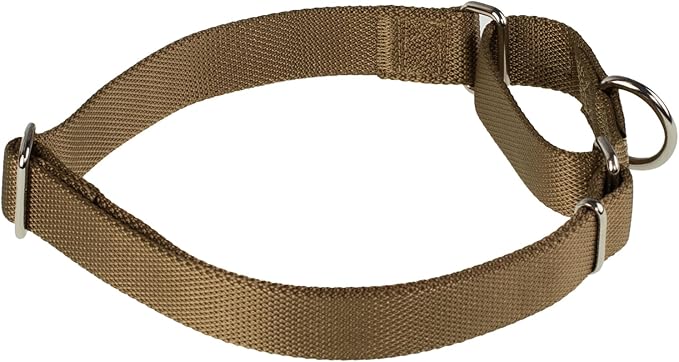 Hyhug Martingale Collar for Dogs Large Yellow |Escape - Proof Heavy Duty Nylon Durable No Pull, Ideal for Training & Daily Walks