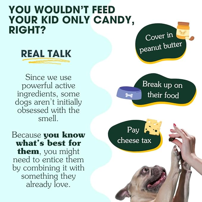 Arterra Longevity Multivitamin for Dogs – 50% Active Ingredients – Vet-Formulated Daily Soft Chews for Gut, Brain, Joint & Immune Health – Human-Grade Supplement | 30 Count