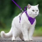 Cat Harness and Leash Set Escape Proof for Kitten Walking, Soft Adjustable Top Handle Vest Harnesses for Cats, Easy Control Breathable Reflective Small Medium Large, Purple, XS