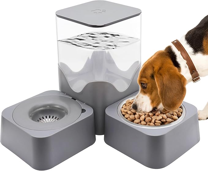 Pet Automatic Water Dispenser, 2.8L Water Dispenser with Stainless Steel Food Bowl, 2-in-1 Pet Feeder for Cats, Dogs, Rabbits