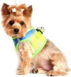 DOGGIE DESIGN American River Dog Harness Ombre Collection - Colbalt Sport