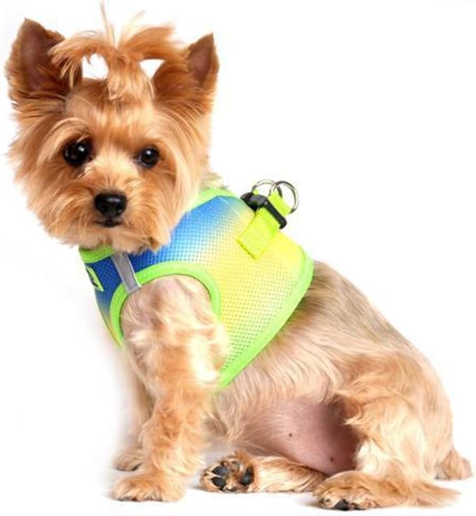 DOGGIE DESIGN American River Dog Harness Ombre Collection - Cobalt Sport XXS