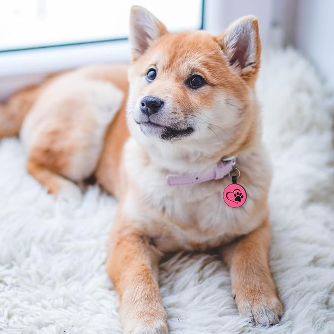 Myluckytag QR Code Silicone Dog & Cat ID Tag - Quiet, Durable, Engraved, Digital Pet Location Alert Email Tag for Dogs and Cats