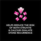 Pro Plan Veterinary Diets Purina UR Urinary St/Ox Savory Selects Feline Formula Salmon Recipe in Sauce Wet Cat Food - (Pack of 24) 5.5 oz. Cans