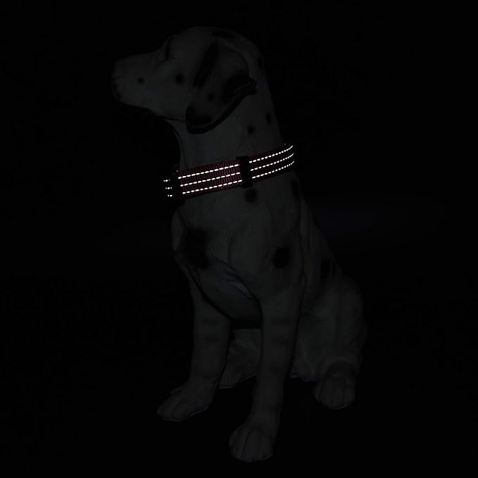 Mile High Life Dog Collar | Nylon Reflective Dog Collars | Light Weight Puppy Collars | Pink Dog Collars for Medium Dogs (Solid Pink, Medium)