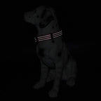 Mile High Life Dog Collar | Nylon Reflective Dog Collars | Light Weight Puppy Collars | Pink Dog Collars for Medium Dogs (Solid Pink, Medium)