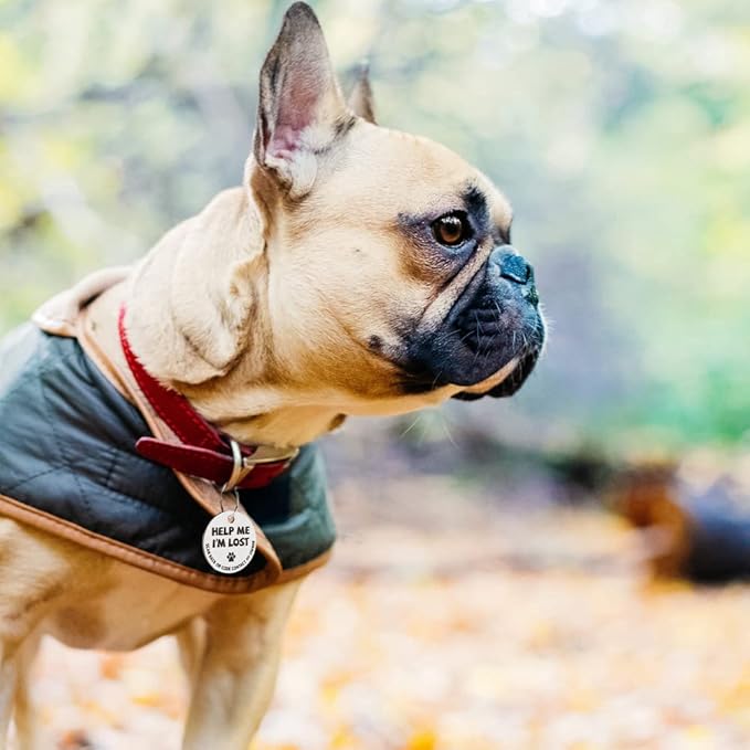 MYLUCKYTAG Stainless Steel QR Code Dog ID Tags Cat Tags - Pet Online Profile - Scan QR Receive Instant Pet Location Alert Email