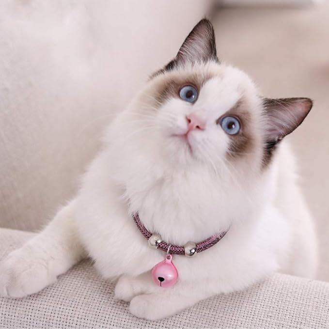 4 Sets Cat Bell for Dog Collar Charm Training Pet Pendant Accessories with 2 Pack Stainless Steel Dog Tag Clips(2 Medium Pink)