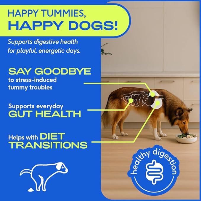 Native Pet Probiotics for Dogs - Dog Probiotics Powder for Digestive Health, Gut Support, & Immune Boost – Vet-Formulated Powder for Maximum Potency with Digestive Enzymes & Prebiotics - 60 Scoops