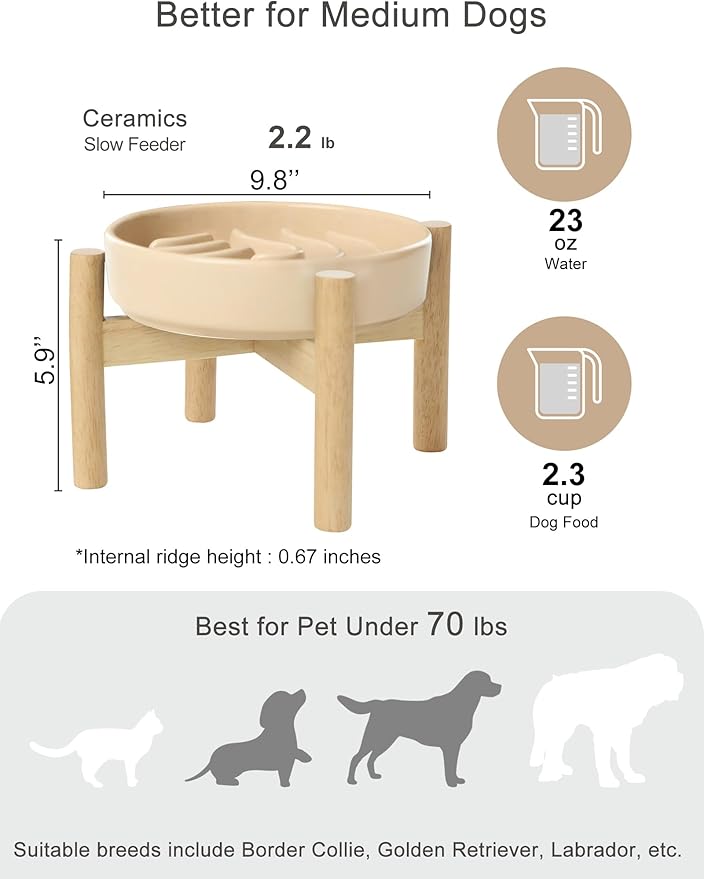 Ceramic Maze Dog Slow Feeder with Non-Slip Silicone Rim – Heavy-Duty Stoneware Bowl with Puzzle Pattern for Bloating & Obesity Prevention (Apricot-M)