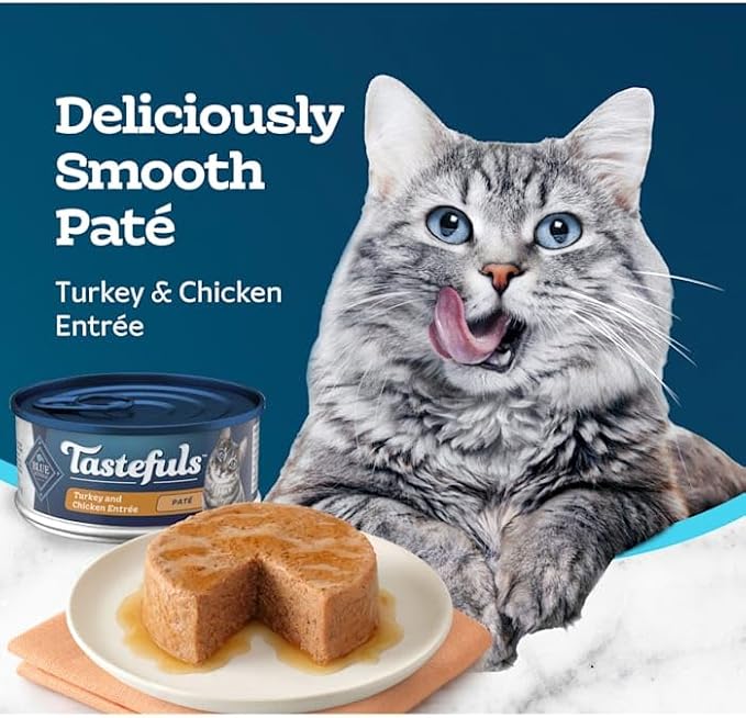 Blue Buffalo Tastefuls Turkey & Chicken Entrée Pate Cat Canned Food, Wheat Free, 5.5 Ounces (Pack of 1)