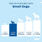 Barkbox 2 in 1 Interactive Plush Dog Toy - Rip and Reveal Toy for Dogs and Puppies - Stimulating Squeaky Pet Toys | Consuela Cactus (Small)