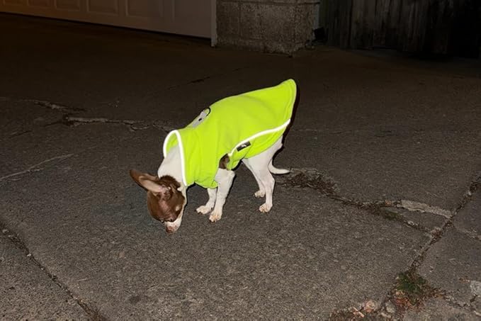 JACKO & CO - Fleece Vest Sweater with Leash Ring - Soft Lightweight Breathable for Puppies Small Medium Dogs, Kitten, Cats, Chihuahua - Warm for Fall/Autumn/Winter (Lime Green, Large 10-16lbs)