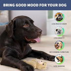 5-Pack Squeaky Dog Toys – Durable Animal-Shaped Plush Chew Toys for Dogs, Handmade Interactive Puppy Toys with Squeaker, Perfect for Reducing Destructive Behavior