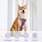 Pawaii QR Code ID Tag, Silent Silicone Dog Tag, Modifiable Pet Online Profile, Scan QR Receive Instant Pet Location Alert Email, 1Pack (Purple)