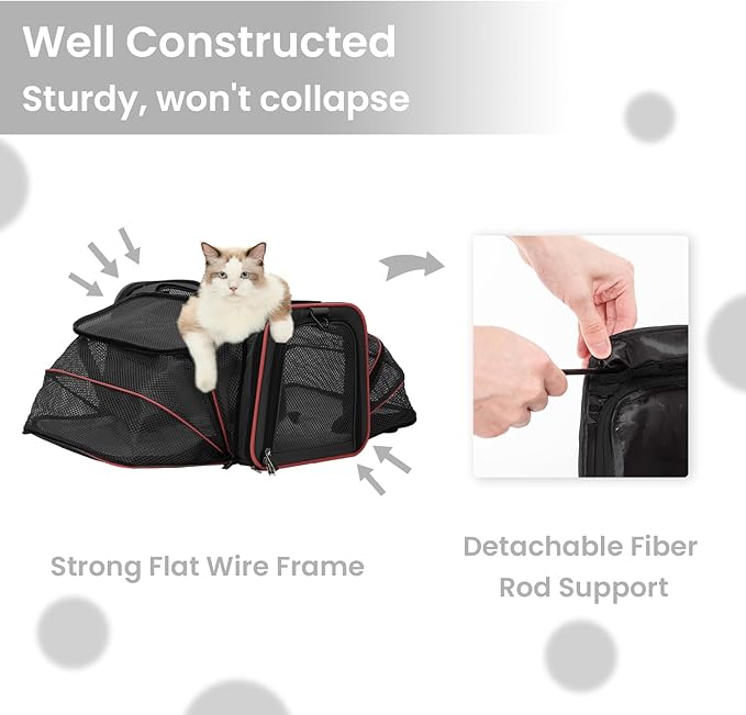 Petsfit Expandable Cat Carrier Large for 2 Cats, Soft-Sided Pet Carrier, 19x12x12 Inches, 2 Extensions for Adding Comfort, Fit for Pet Up to 15 Lbs, Black