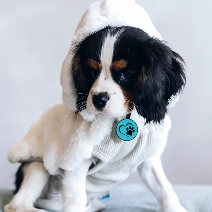 MYLUCKYTAG Silent Silicone QR Code Pet ID Tags - Online Profile - Scan QR for Instant Location Alert Email