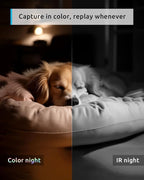 blurams 5G Pet Camera 2K, 360° PTZ Dog Camera with Phone App, Indoor Cameras for Home Security w/Dual-Band WiFi6, 2-Way Audio, Motion Tracking, Color/IR Night Vision, Siren, Cloud&SD