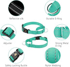 Plutus Pet Reflective Martingale Collar with Buckle - Durable and Adjustable Training Collar for No Pulling, Dog Choker Collar for Small Medium Large Dogs, Teal, XS